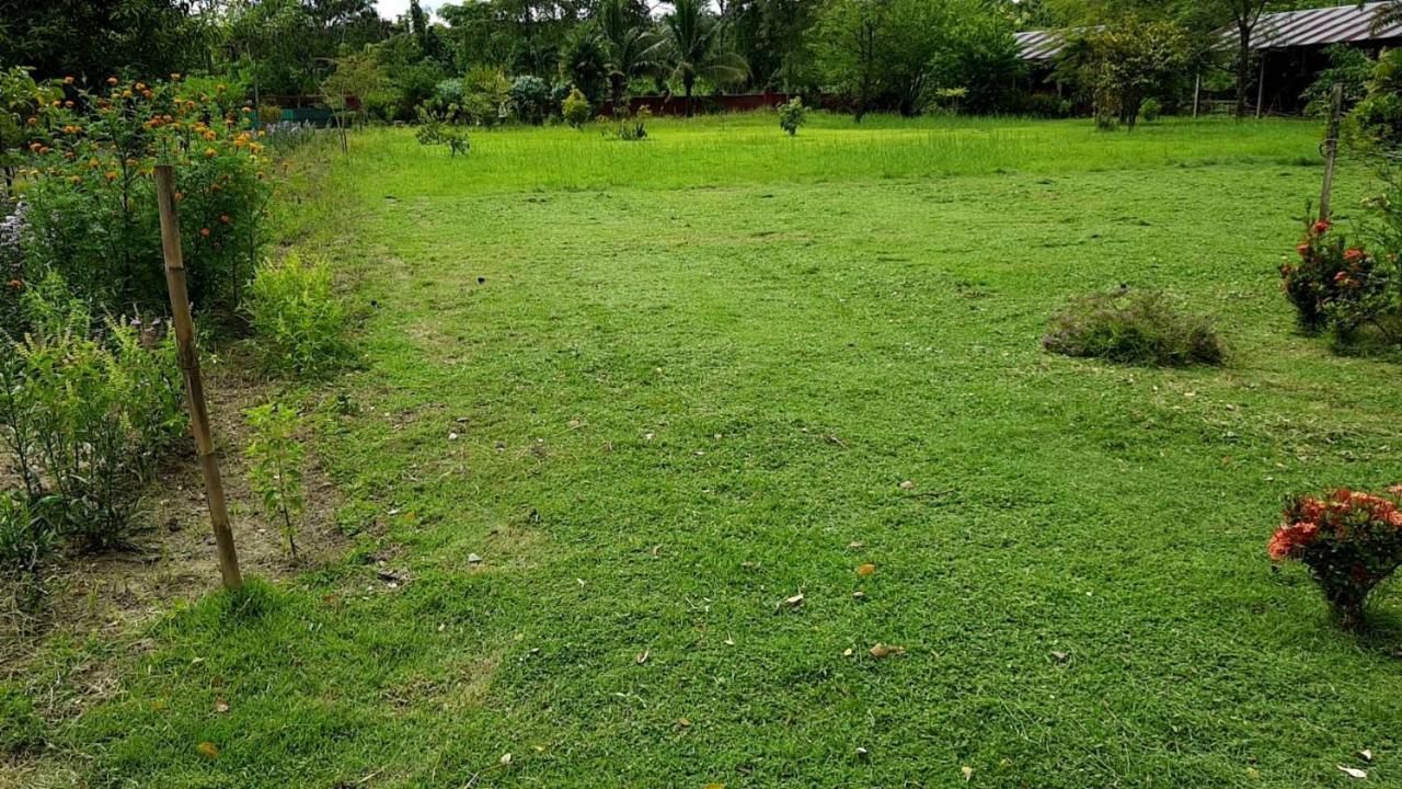 Ban Chang Klang Na Nong ap Chang Esterno foto