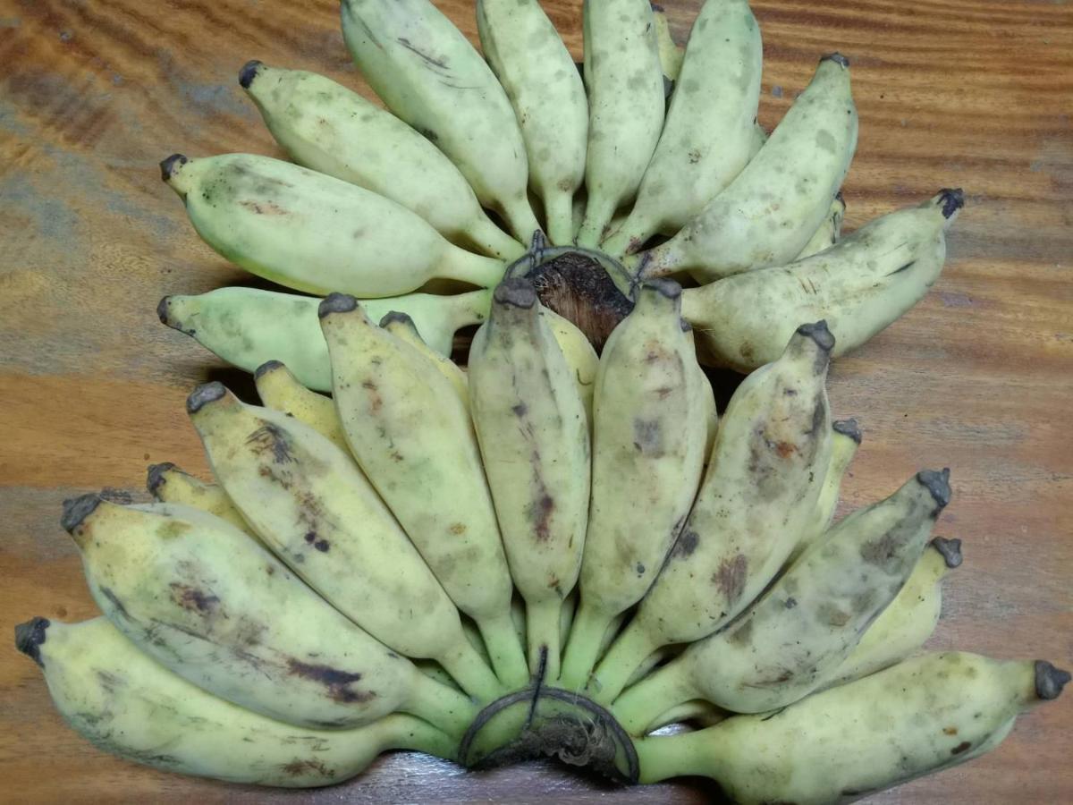Ban Chang Klang Na Nong ap Chang Esterno foto