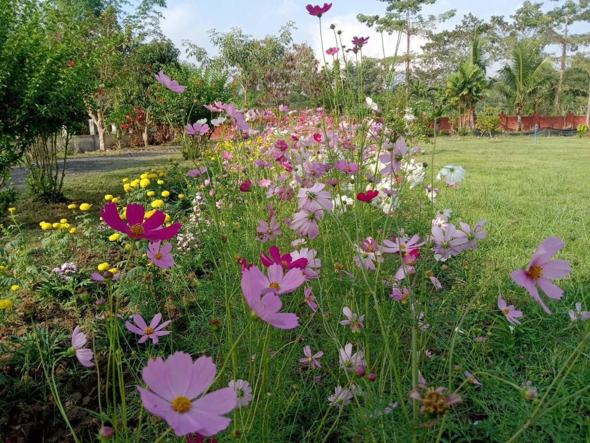 Ban Chang Klang Na Nong ap Chang Esterno foto